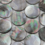 Shell: Meaning, Uses, and Benefitstset