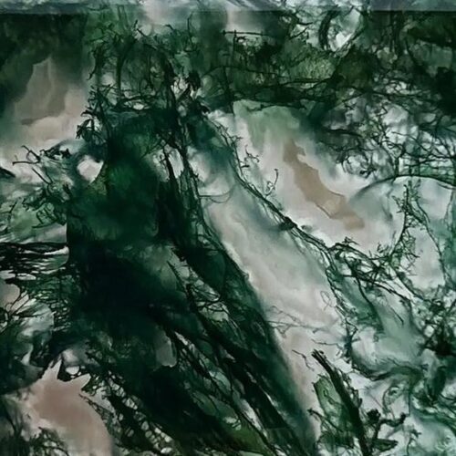 Moss Agate: Meaning, Uses, and Benefits